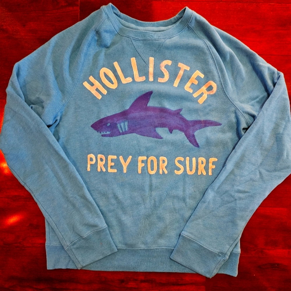 🌟 Host Pick Hollister Crewneck Sweatshirt